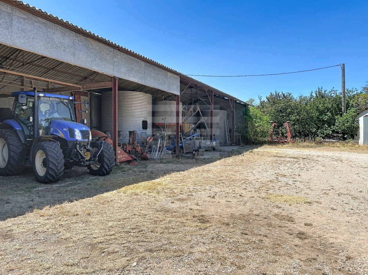 à vendre Ovins / caprins Lentillac Lauzes - Photo 9