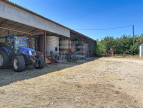 à vendre Ovins / caprins Lentillac Lauzes