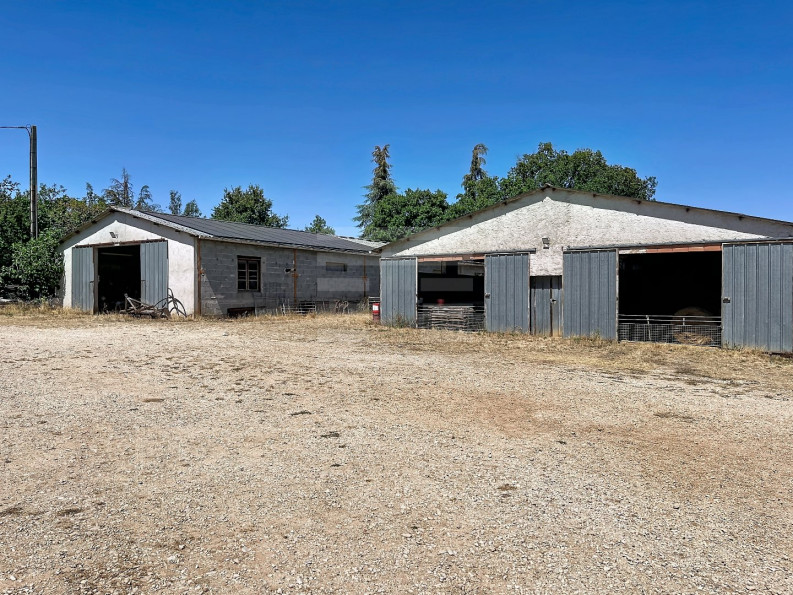 vente Ovins / caprins Saint Cirq Lapopie - Photo 5