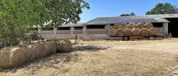 vente Ovins / caprins Lentillac Lauzes