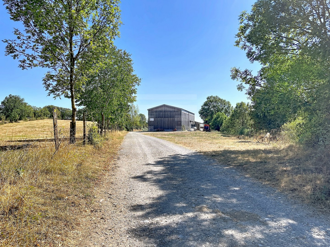 à vendre Ovins / caprins Rodelle - Photo 11
