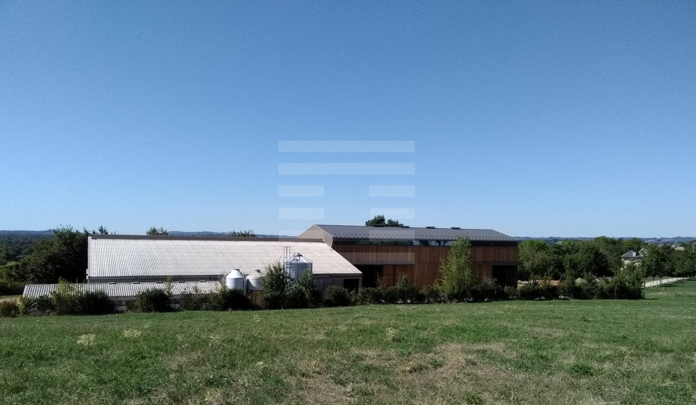 à vendre Ovins / caprins Rodelle - Photo 1