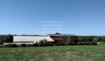 vente Ovins / caprins Rodelle