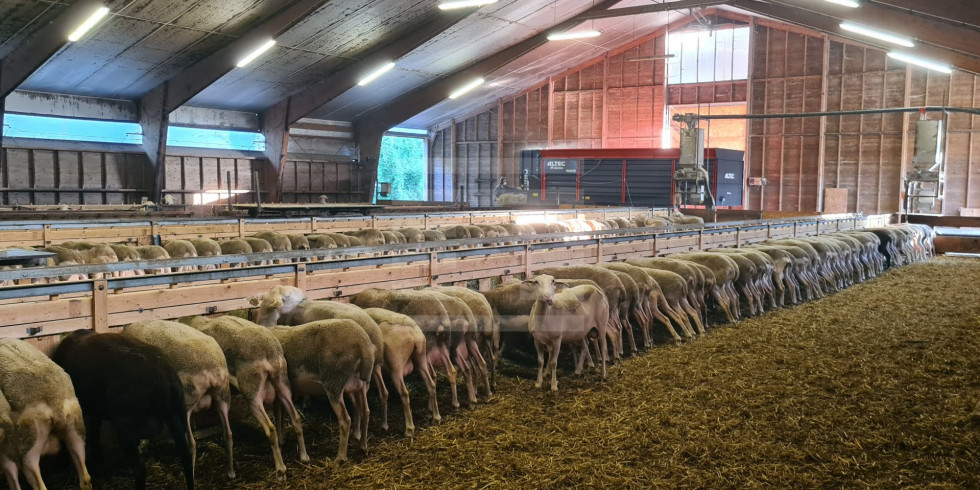 vente Ovins / caprins Rodelle - Photo 7