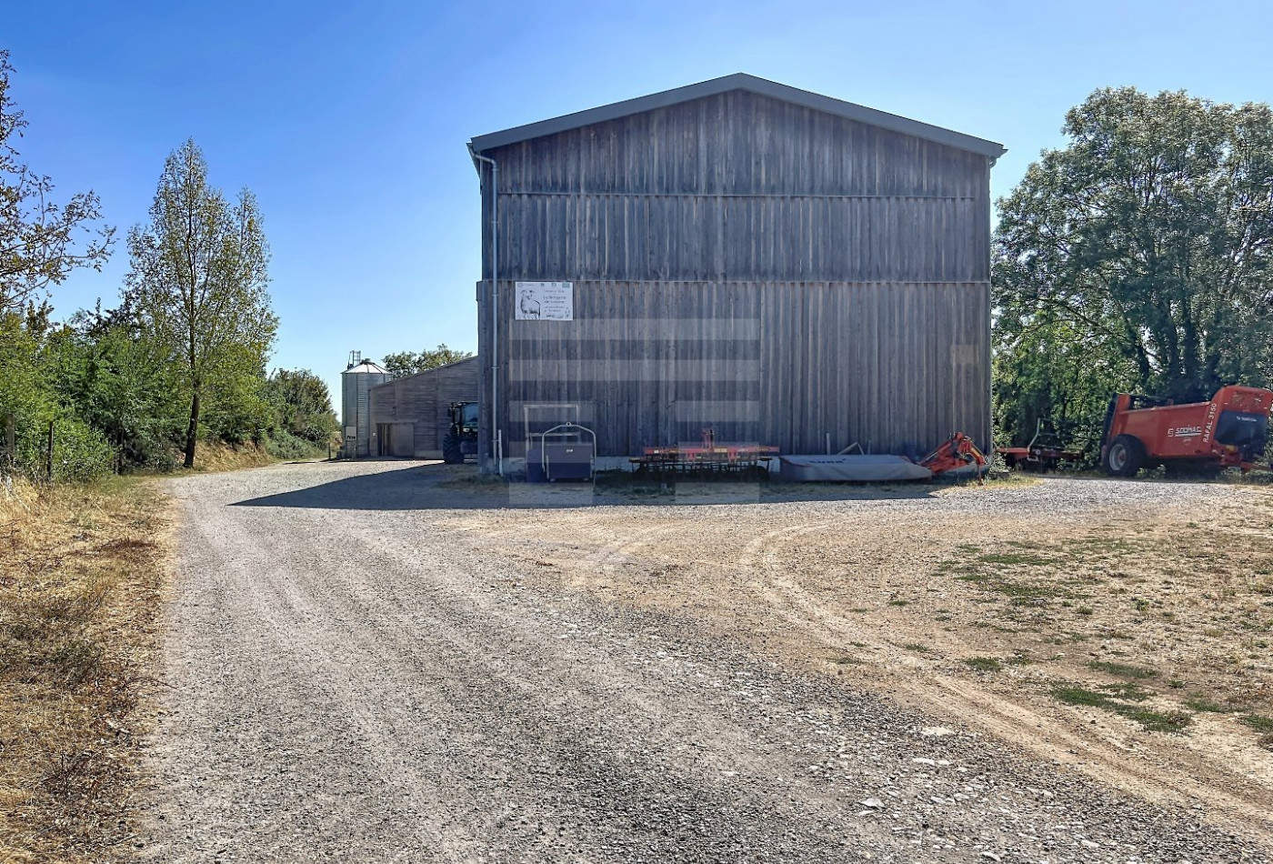 vente Ovins / caprins Rodelle - Photo 2