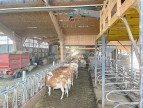 à vendre Propriété agricole Castelnau De Mandailles