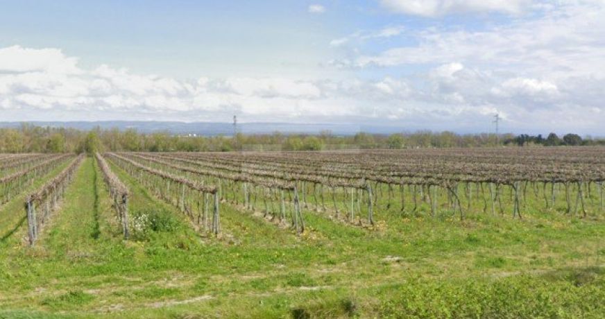 vente Terrain agricole Montreal