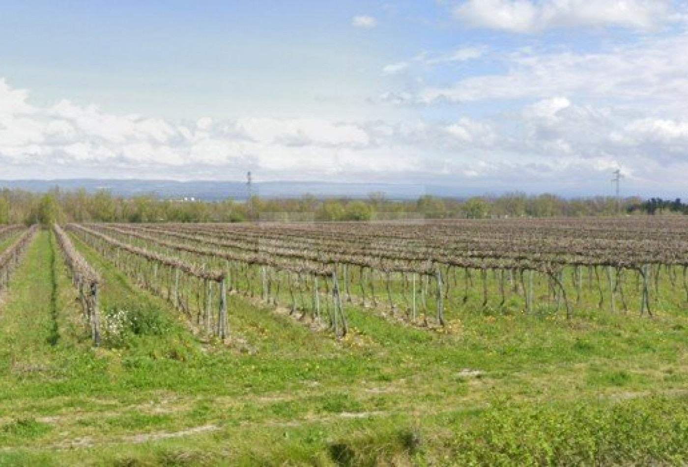 vente Terrain agricole Montreal - Photo 2