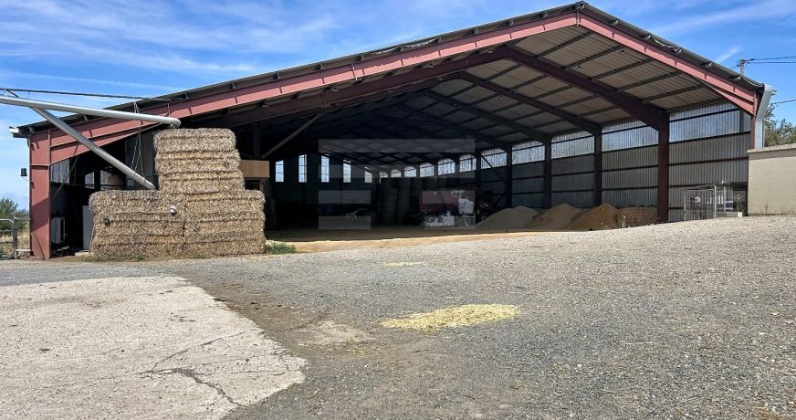 vente Bovine Albi