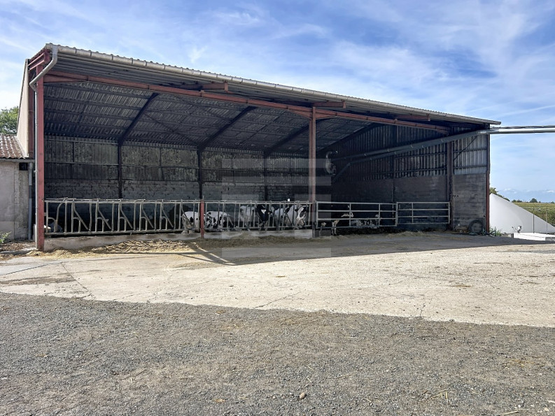vente Bovine Albi - Photo 7