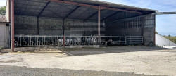 vente Bovine Albi