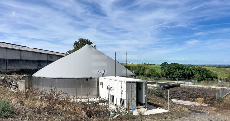 vente Bovine Albi