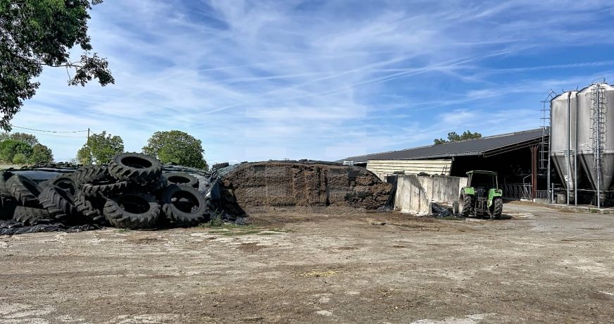 vente Bovine Albi