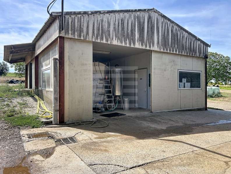 vente Bovine Albi - Photo 8