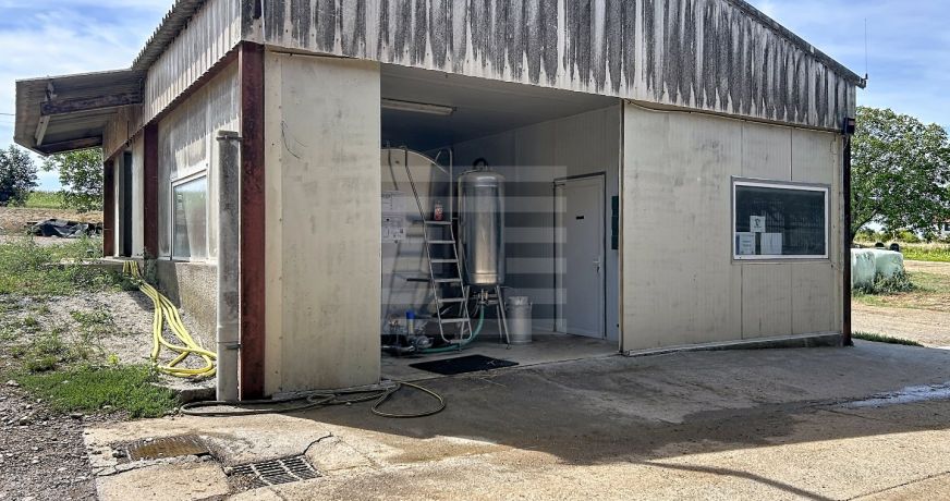 vente Bovine Albi