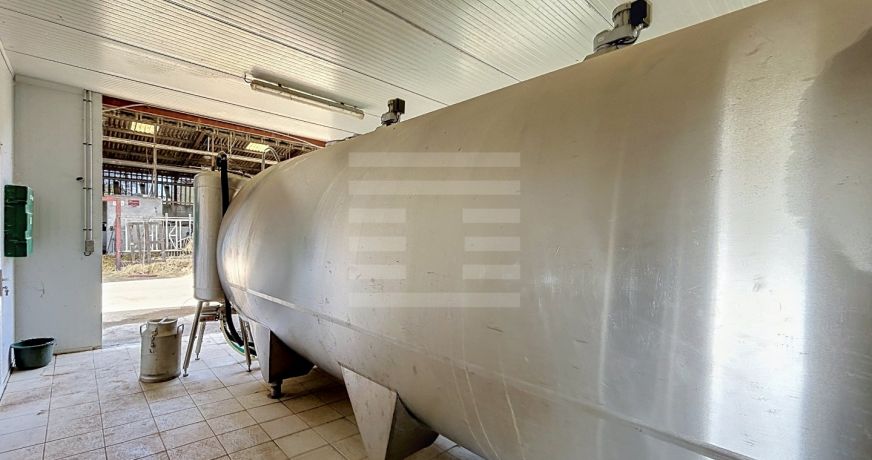 vente Bovine Albi