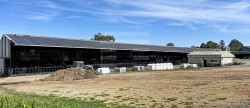 vente Bovine Albi