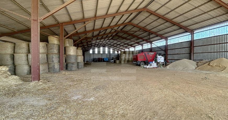 vente Bovine Albi