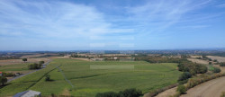 vente Bovine Albi