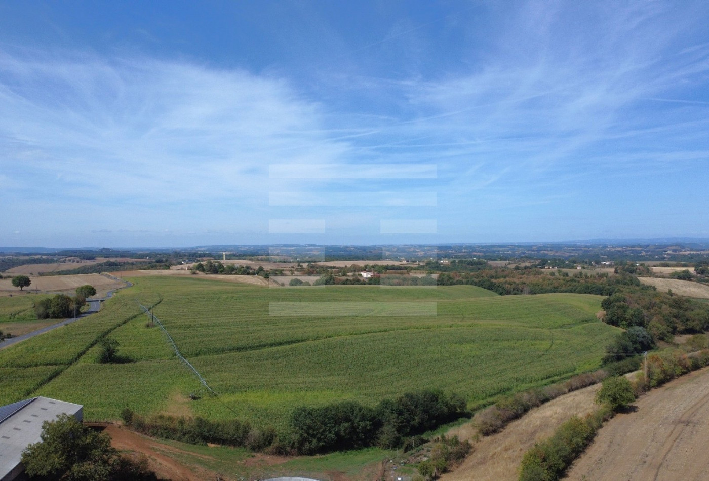 vente Bovine Albi - Photo 2