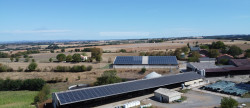 vente Bovine Albi