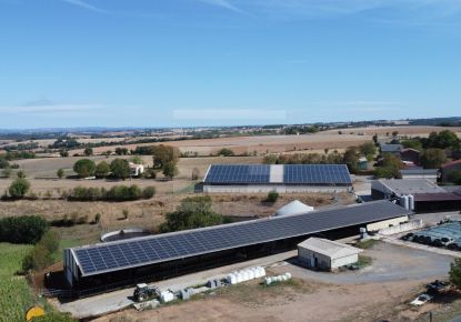 vente Bovine Albi