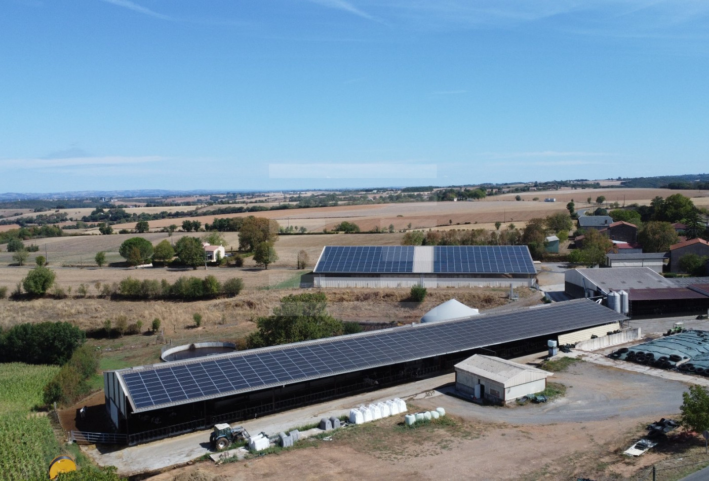 vente Bovine Albi - Photo 1