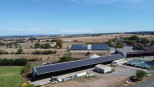 vente Bovine Albi