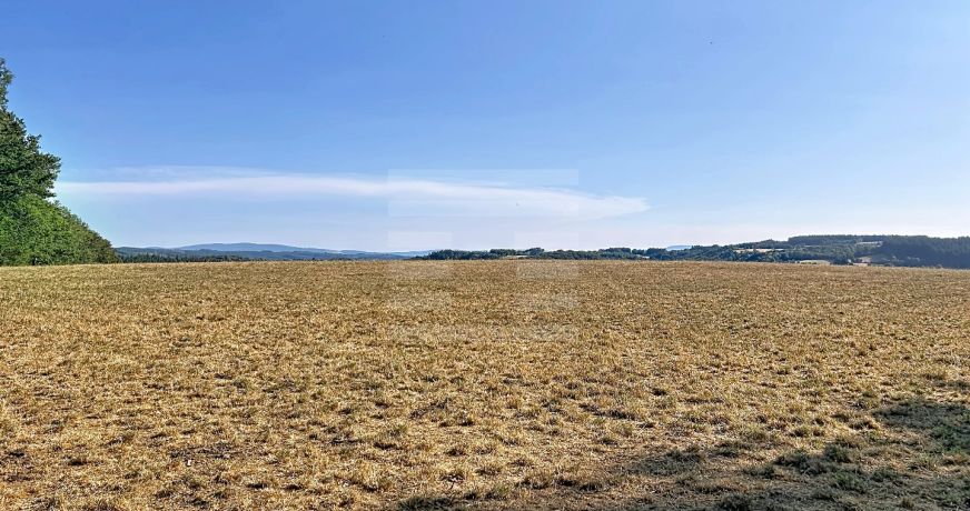 vente Laitière Brassac