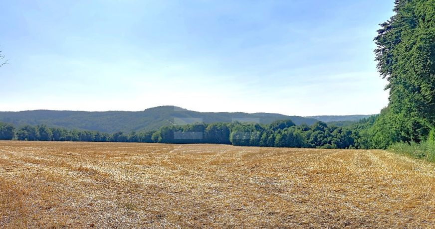 vente Laitière Brassac