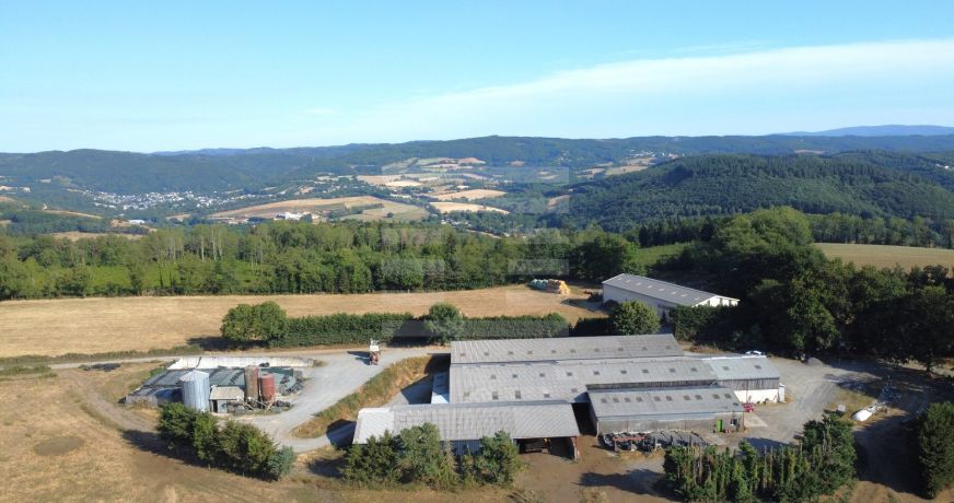 vente Laitière Brassac