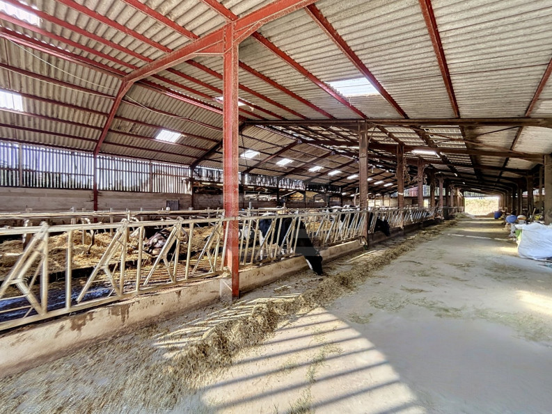 vente Laitière Brassac - Photo 3