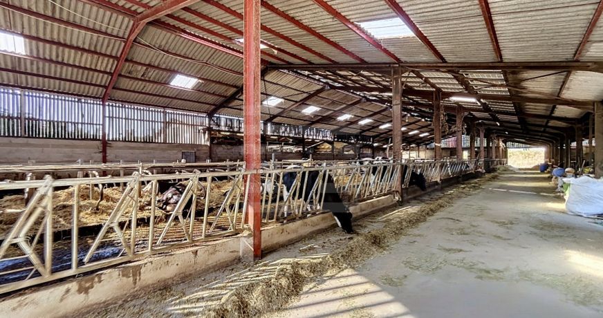 vente Laitière Brassac