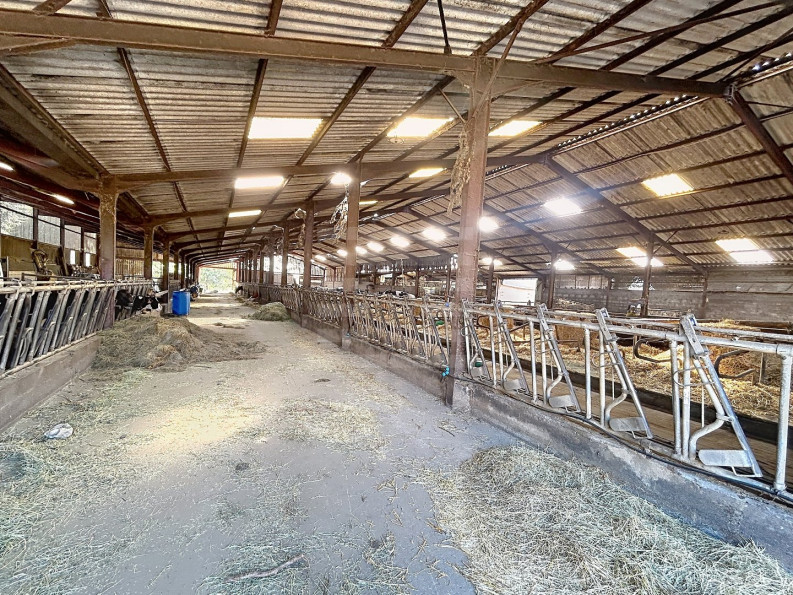 vente Laitière Brassac - Photo 4