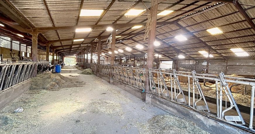 vente Laitière Brassac