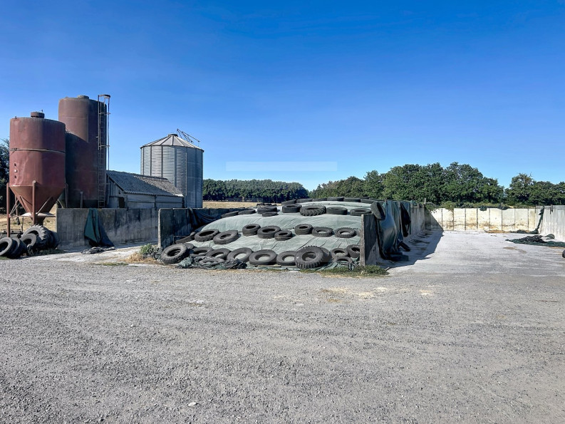 vente Laitière Brassac - Photo 10