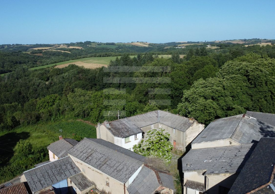à vendre Propriété agricole Alban