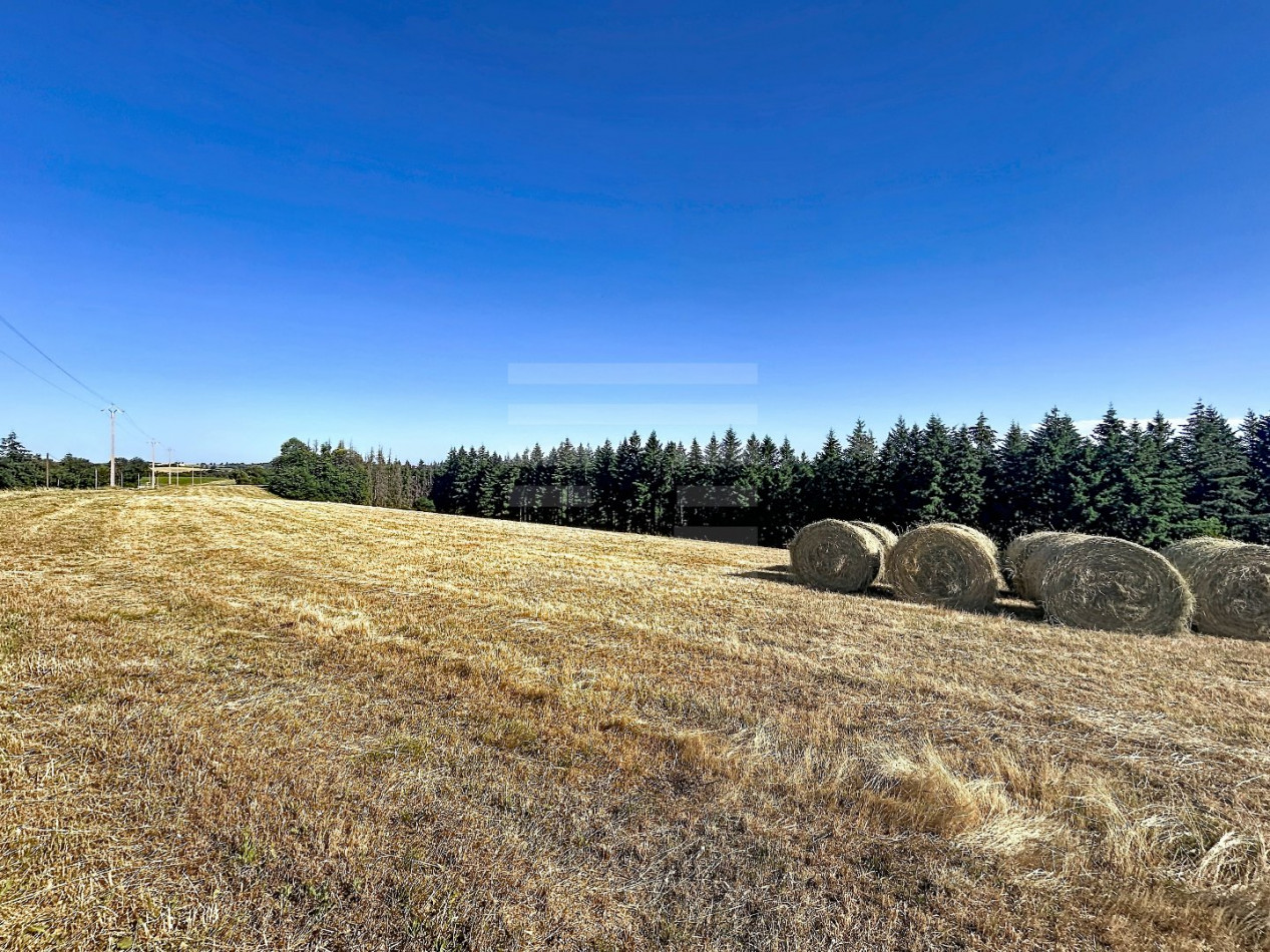à vendre Propriété agricole Alban - Photo 18