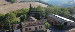 vente Bovine Saint Antonin De Lacalm