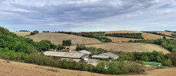 vente Bovine Saint Antonin De Lacalm