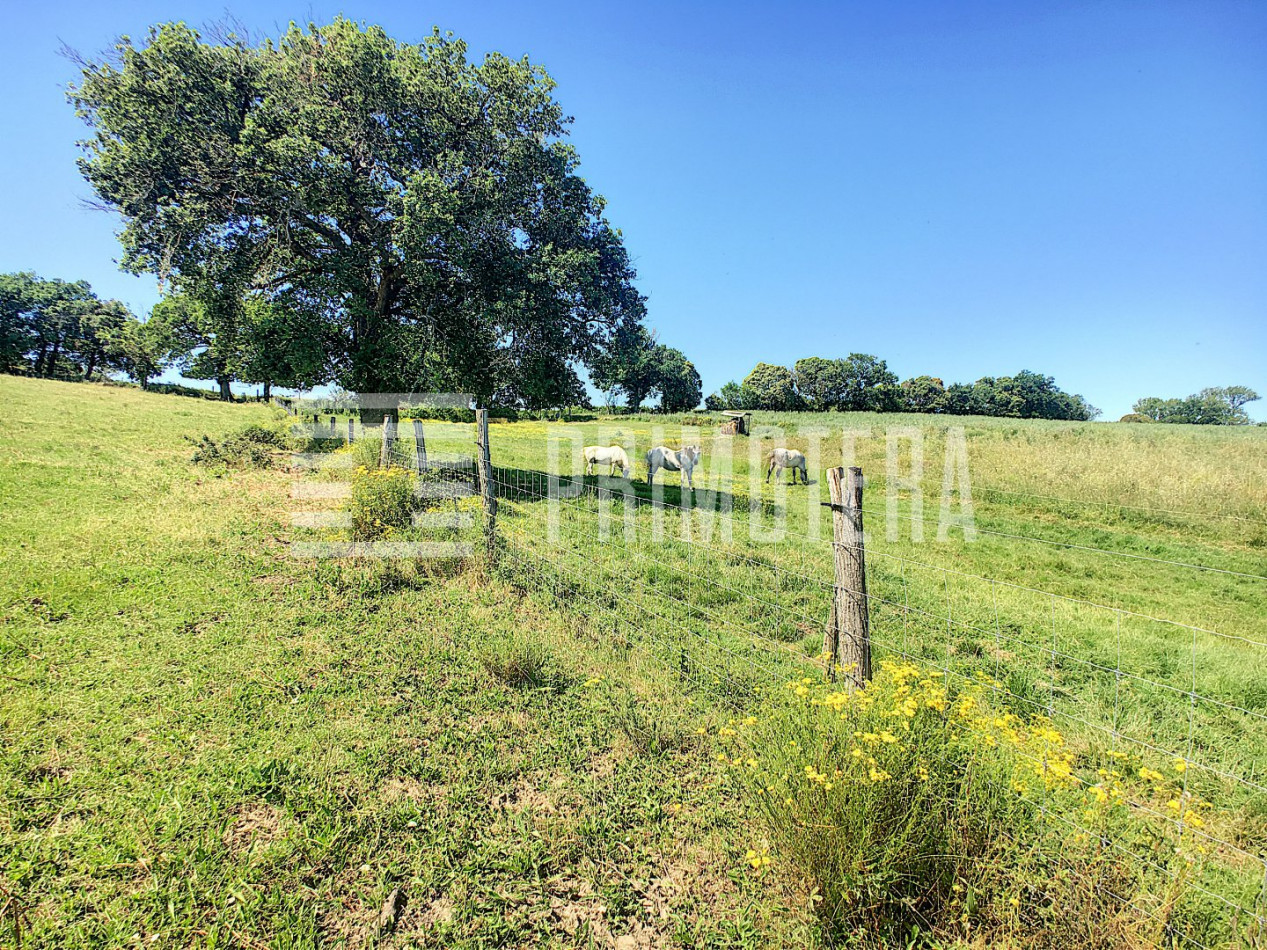 vente Proprit agricole Fraisse Cabardes