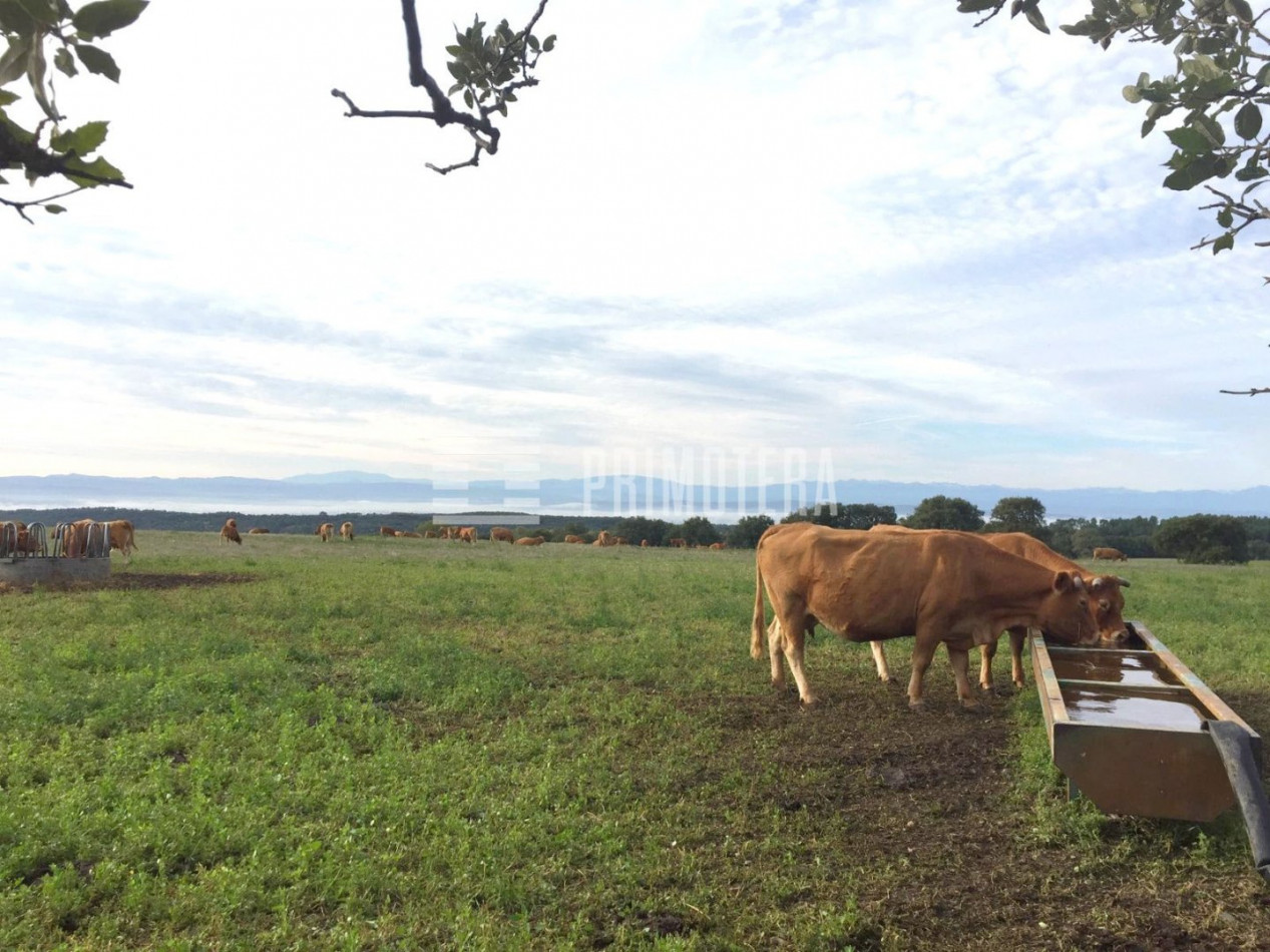 sale Proprit agricole Fraisse Cabardes