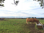 vente Proprit agricole Fraisse Cabardes