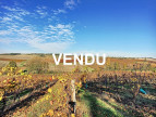 vente Terrain agricole Gaillac