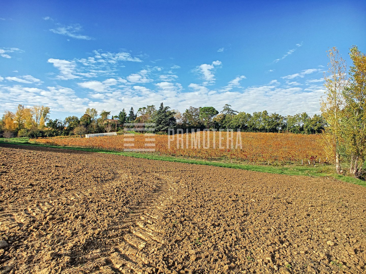 vente Terrain agricole Gaillac