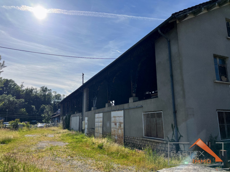 vente Entrepots et bureaux Salies Du Salat - Photo 1