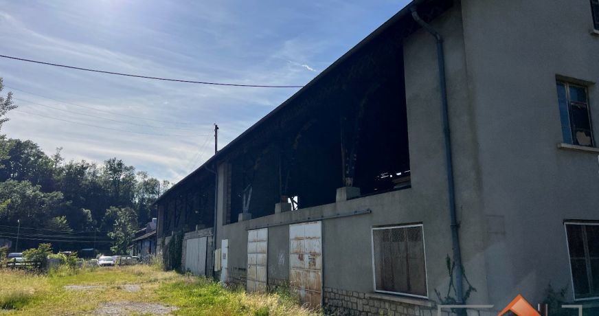 à vendre Entrepots et bureaux Salies Du Salat