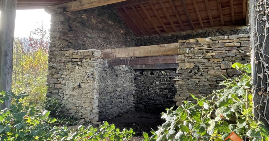 à vendre Grange Arbas