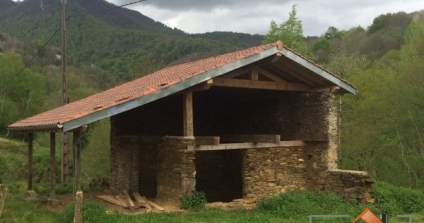 à vendre Grange Arbas