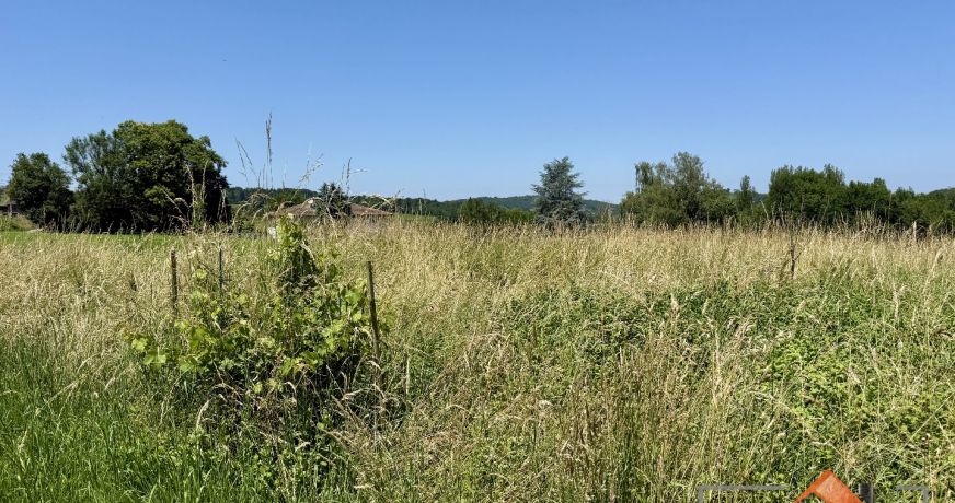 à vendre Terrain diffus (hors lotissement) Mane